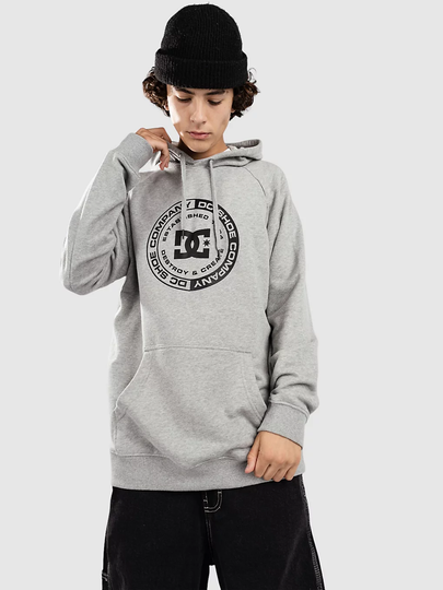DC Corpo Raglan Ph Huppari harmaa