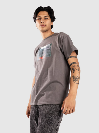 Hockey Skateboards Farm Kids T-paita harmaa