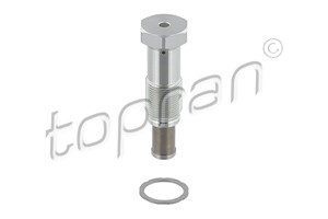 Strammer, styrekjede, Foran eller bak, BMW,CITROËN,DS,MINI,OPEL,PEUGEOT, 0829 E1, 0829 G3, 1131 4 609 482, 1131 4 609 483, 1131 7 534 77